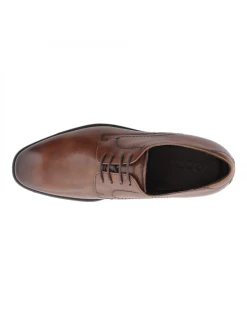 Ecco Derby Ville Melbourne Marron -Chaussures-Homme-Grandes-Pointures Soldes Boutique derby ville melbourne 3